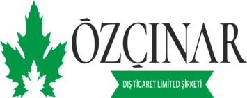 Kurumsal V21 İnternet Sitesi